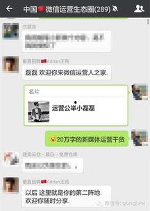 盐山网红吃瓜群微信公众号,揭秘网络红人背后的故事与八卦 第3张 盐山网红吃瓜群微信公众号,揭秘网络红人背后的故事与八卦 第3张