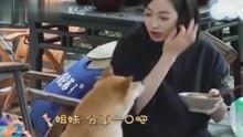 娱乐八卦爆料自制视频,自制视频爆料的惊人内幕大起底 第3张 娱乐八卦爆料自制视频,自制视频爆料的惊人内幕大起底 第3张